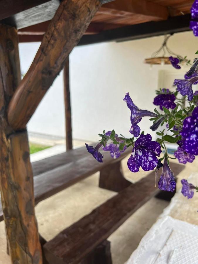 Apartman Djak Plitvička Jezera Esterno foto