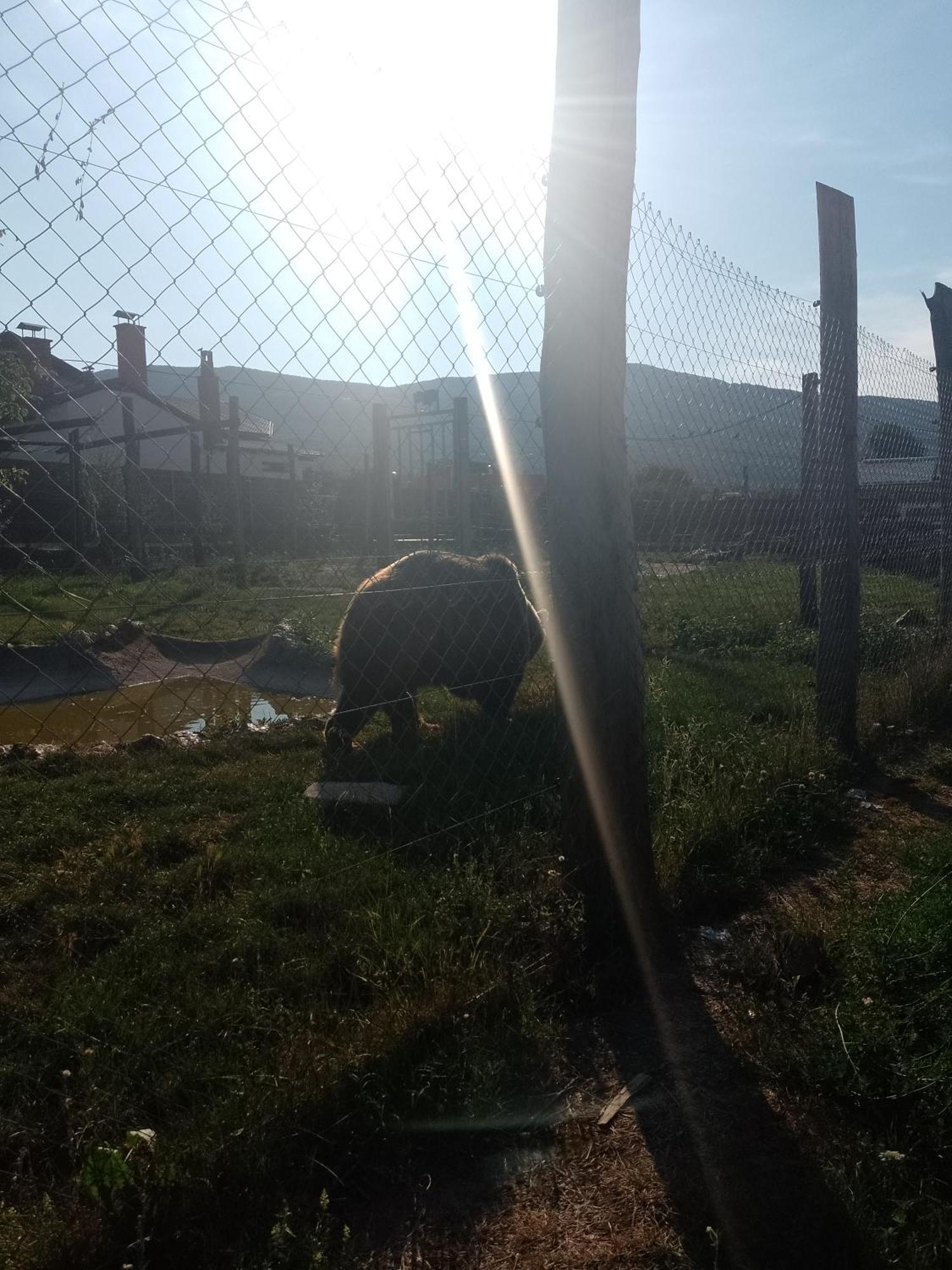Apartman Djak Plitvička Jezera Esterno foto