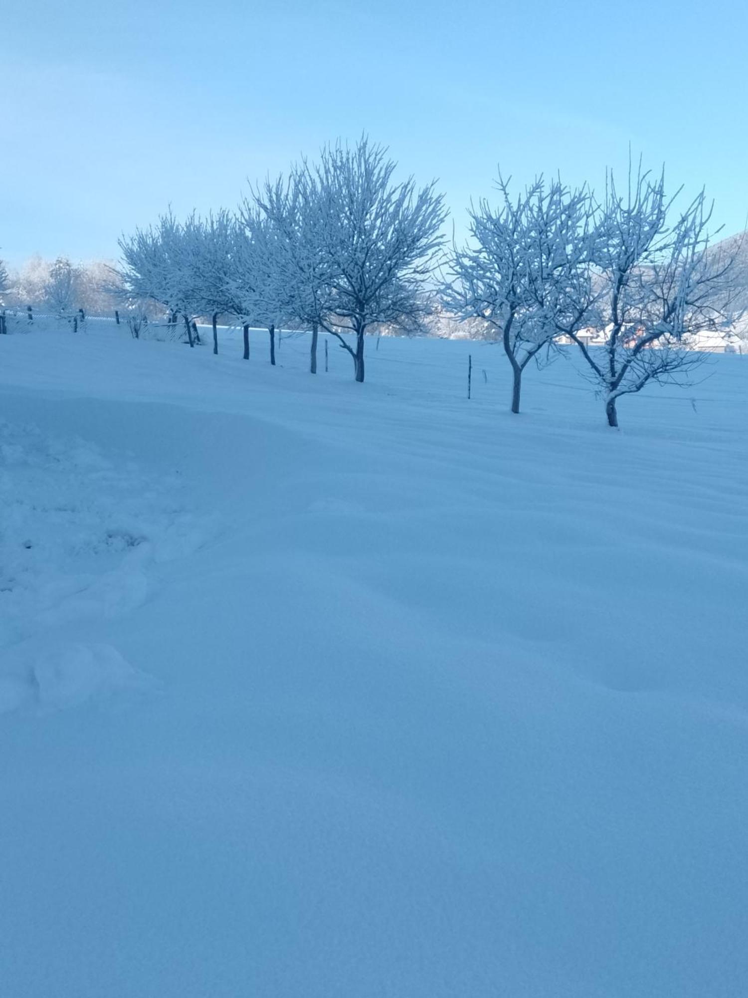 Apartman Djak Plitvička Jezera Esterno foto
